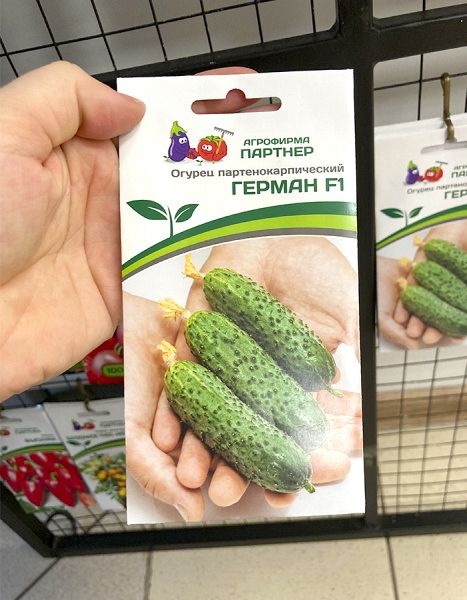 Огурец партенокарпический Герман F1